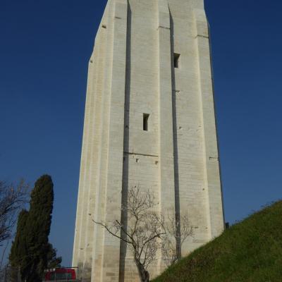 P1190032 1