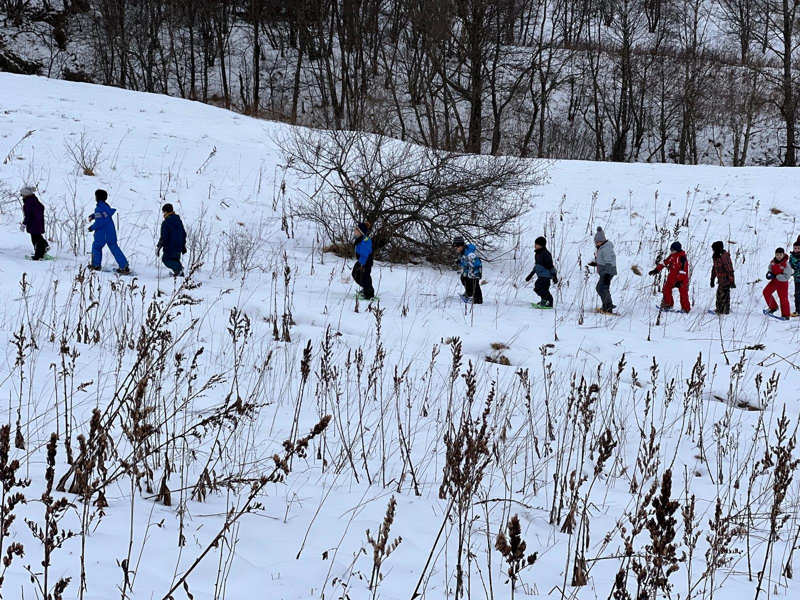 Whatsapp image 2026 01 08 at 11 43 51h